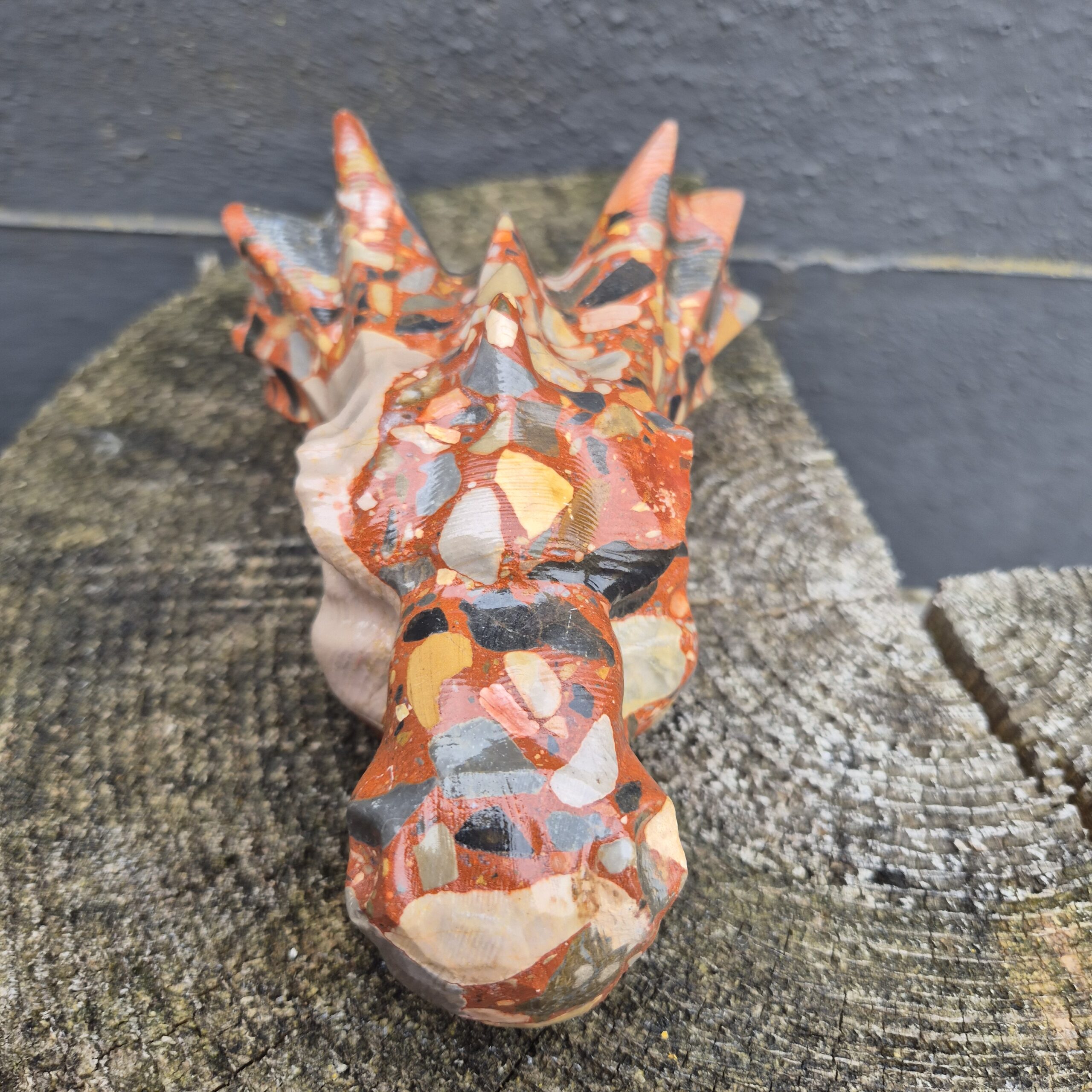Conglomeraat waterdraken skull - Afbeelding 2