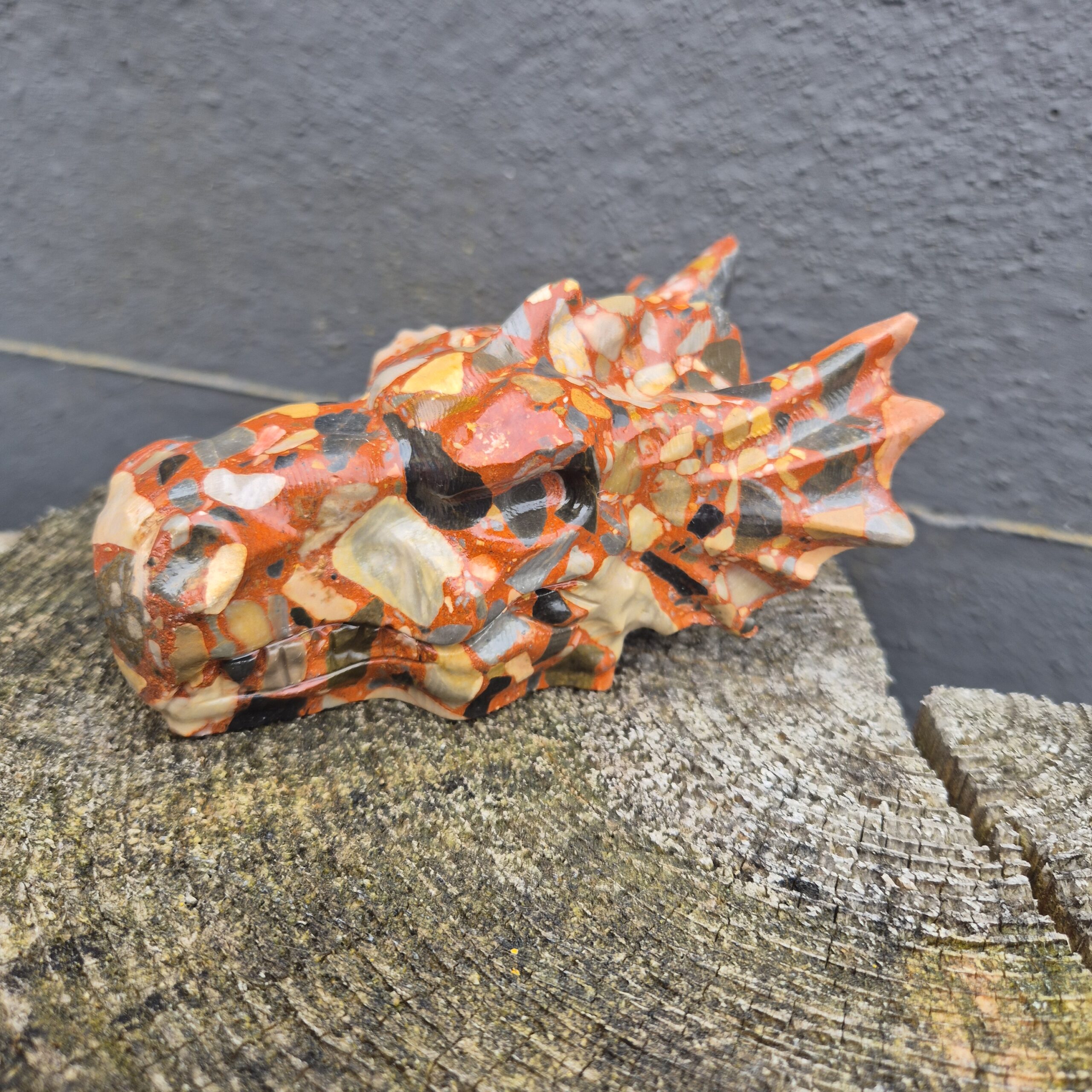 Conglomeraat waterdraken skull - Afbeelding 3