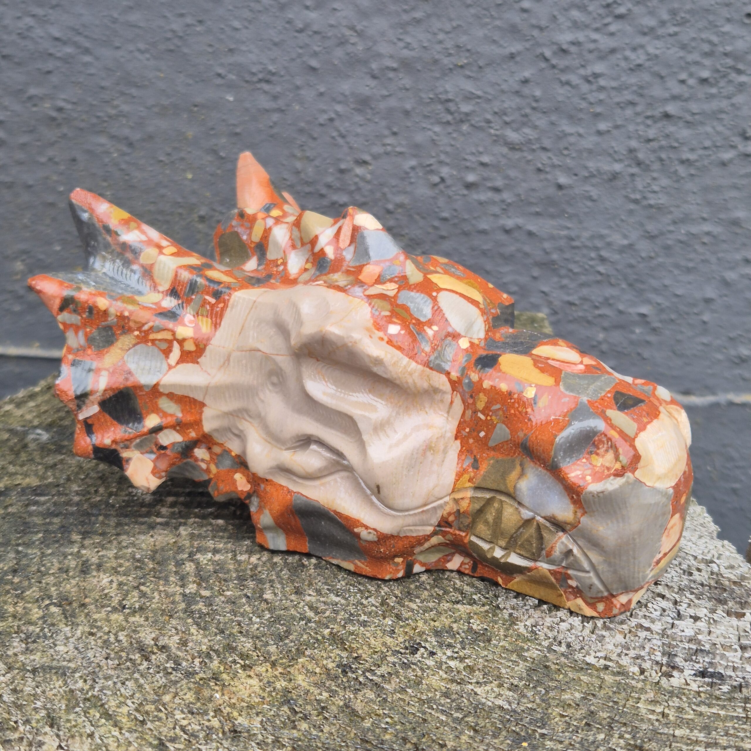 Conglomeraat waterdraken skull - Afbeelding 4