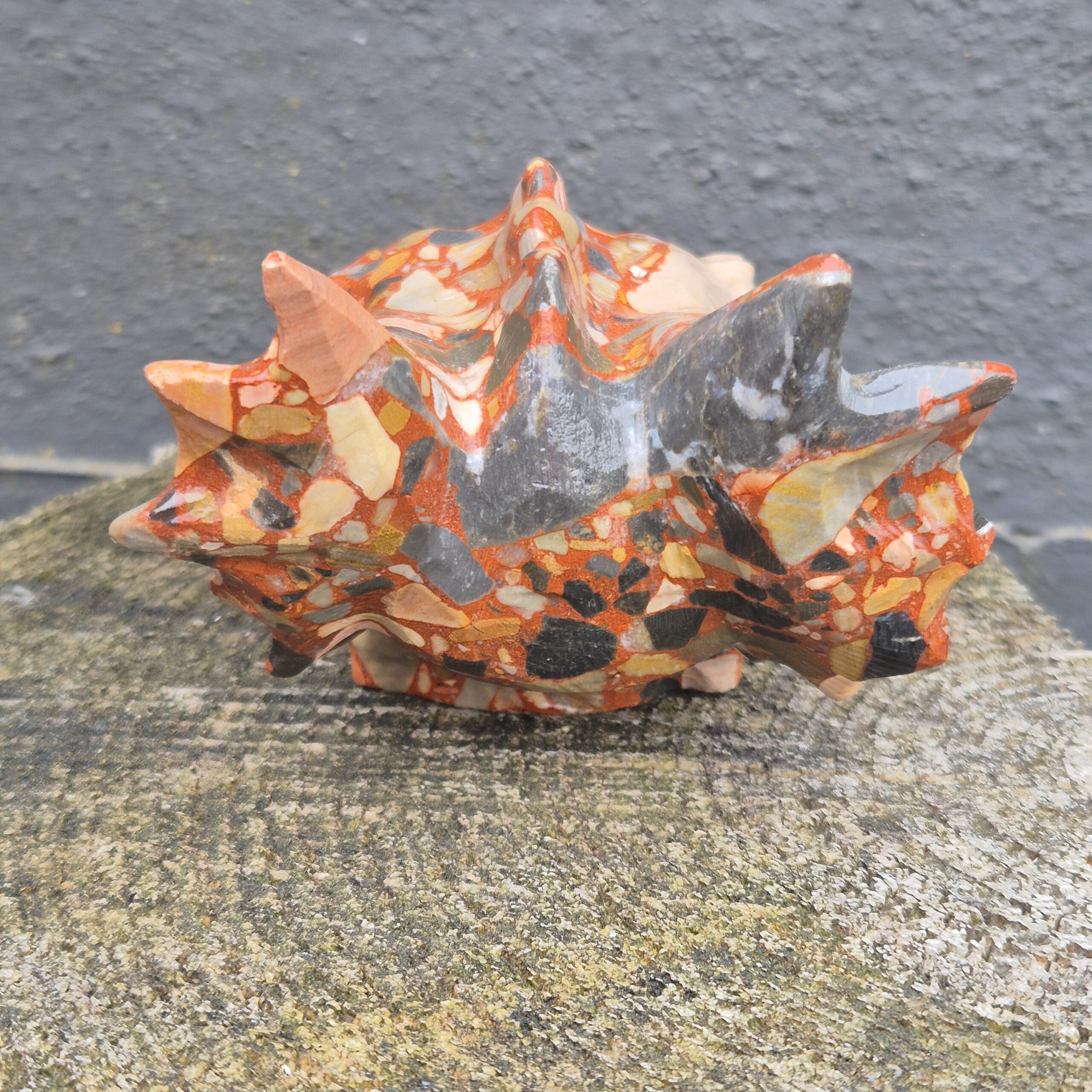 Conglomeraat waterdraken skull - Afbeelding 5
