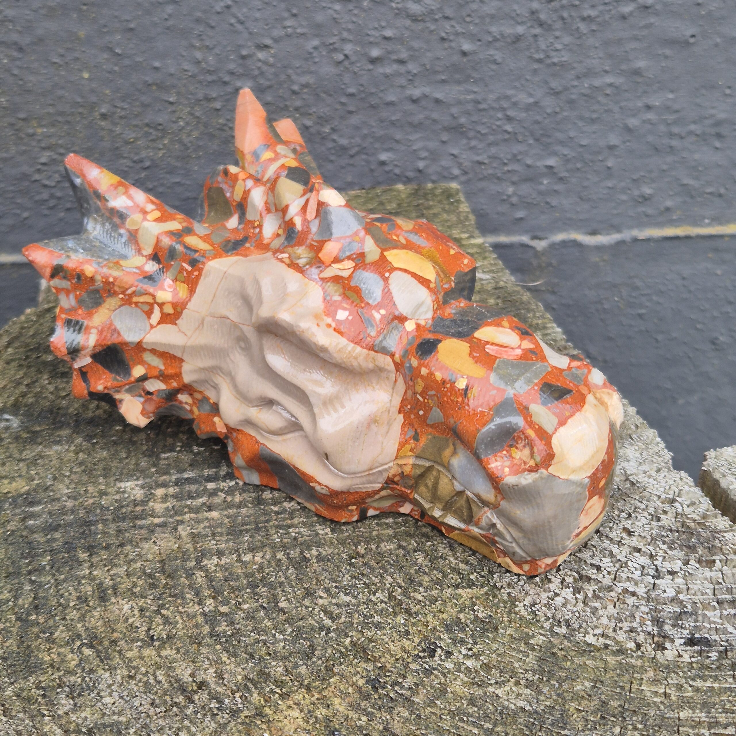 Conglomeraat waterdraken skull - Afbeelding 6