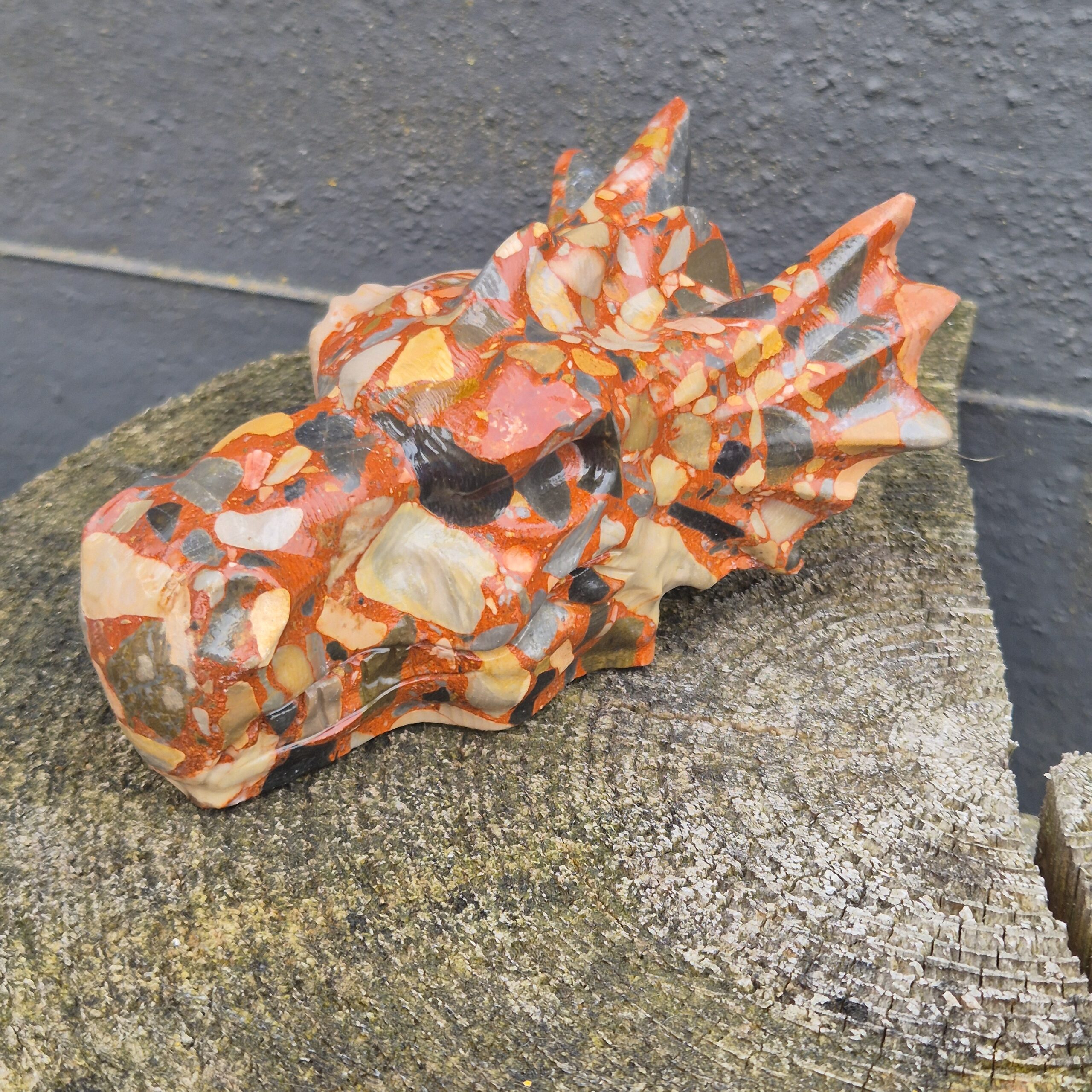 Conglomeraat waterdraken skull