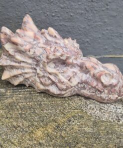 Agaat waterdraken skull