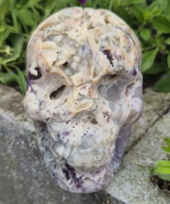 Alternative view of Sfalariet met fluoriet schedel
