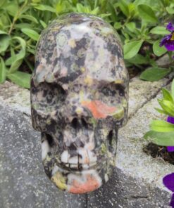 Alternative view of Jaspis traveller skull
