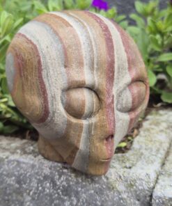 GERESERVEERDJaspis Starbeïng skull