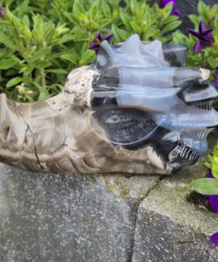 Alternative view of Vulkaan agaat draken skull