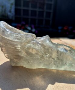 Alternative view of Prasioliet feniks skull