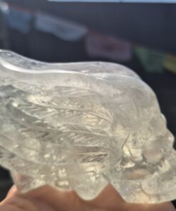 Prasioliet gevleugelde skull