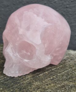 Alternative view of Kaakloze rozenkwarts schedel