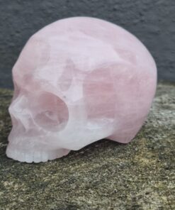 Alternative view of Kaakloze rozenkwarts schedel