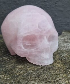 Kaakloze rozenkwarts schedel