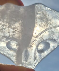 Jelly fish licht wezen skull 1
