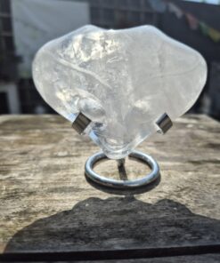 Alternative view of Jelly fish licht wezen skull 1