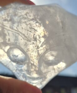 Jelly fish licht wezen skull 2