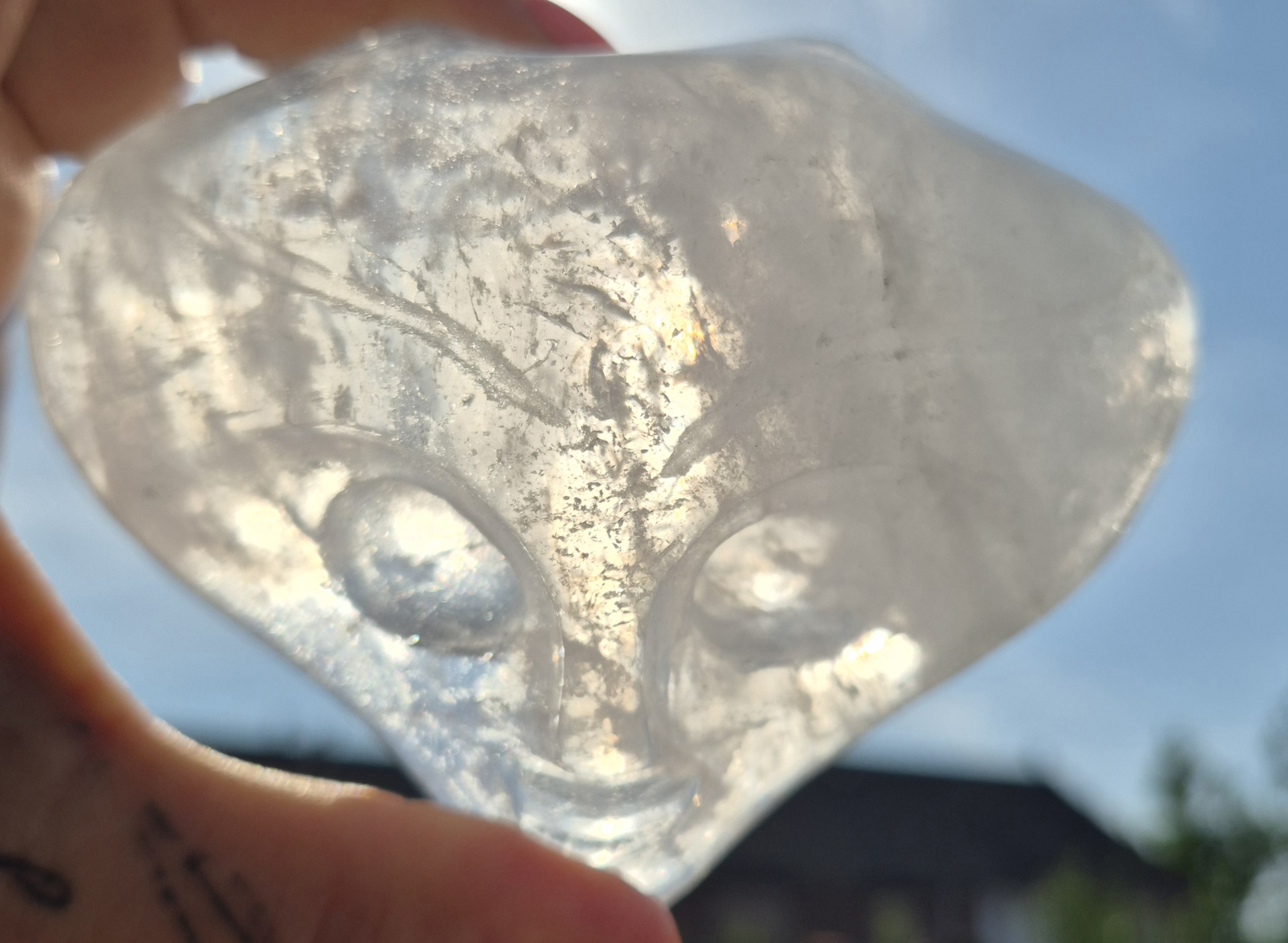Jelly fish licht wezen skull 2 - Afbeelding 6