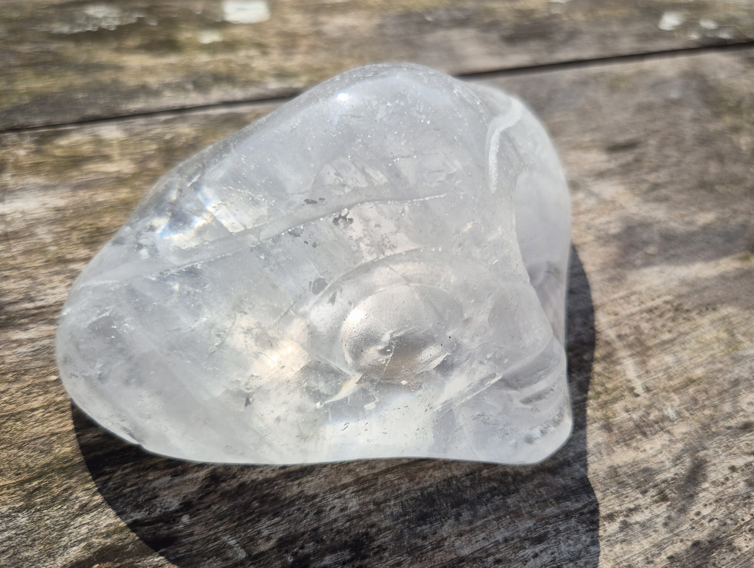 Jelly fish licht wezen skull 2 - Afbeelding 5