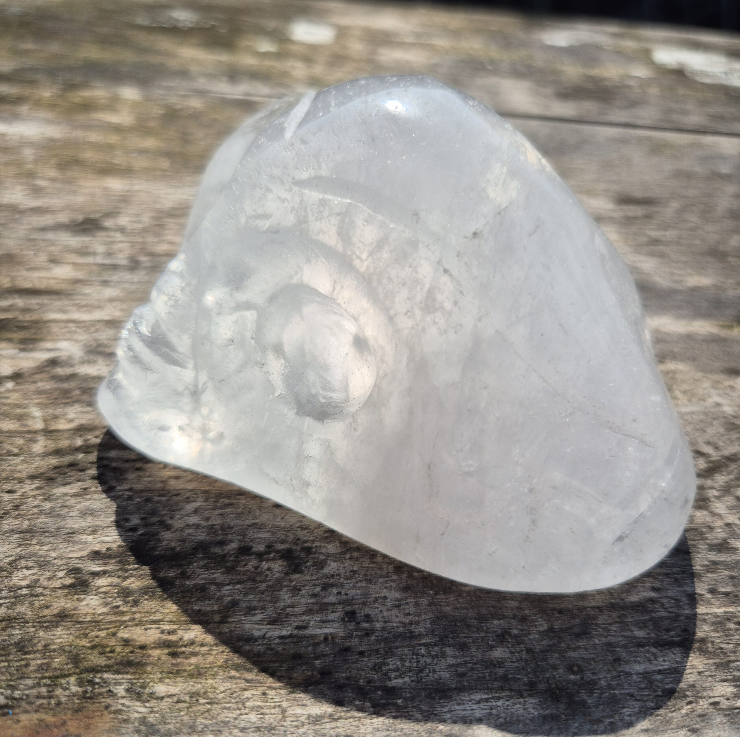 Jelly fish licht wezen skull 2 - Afbeelding 4