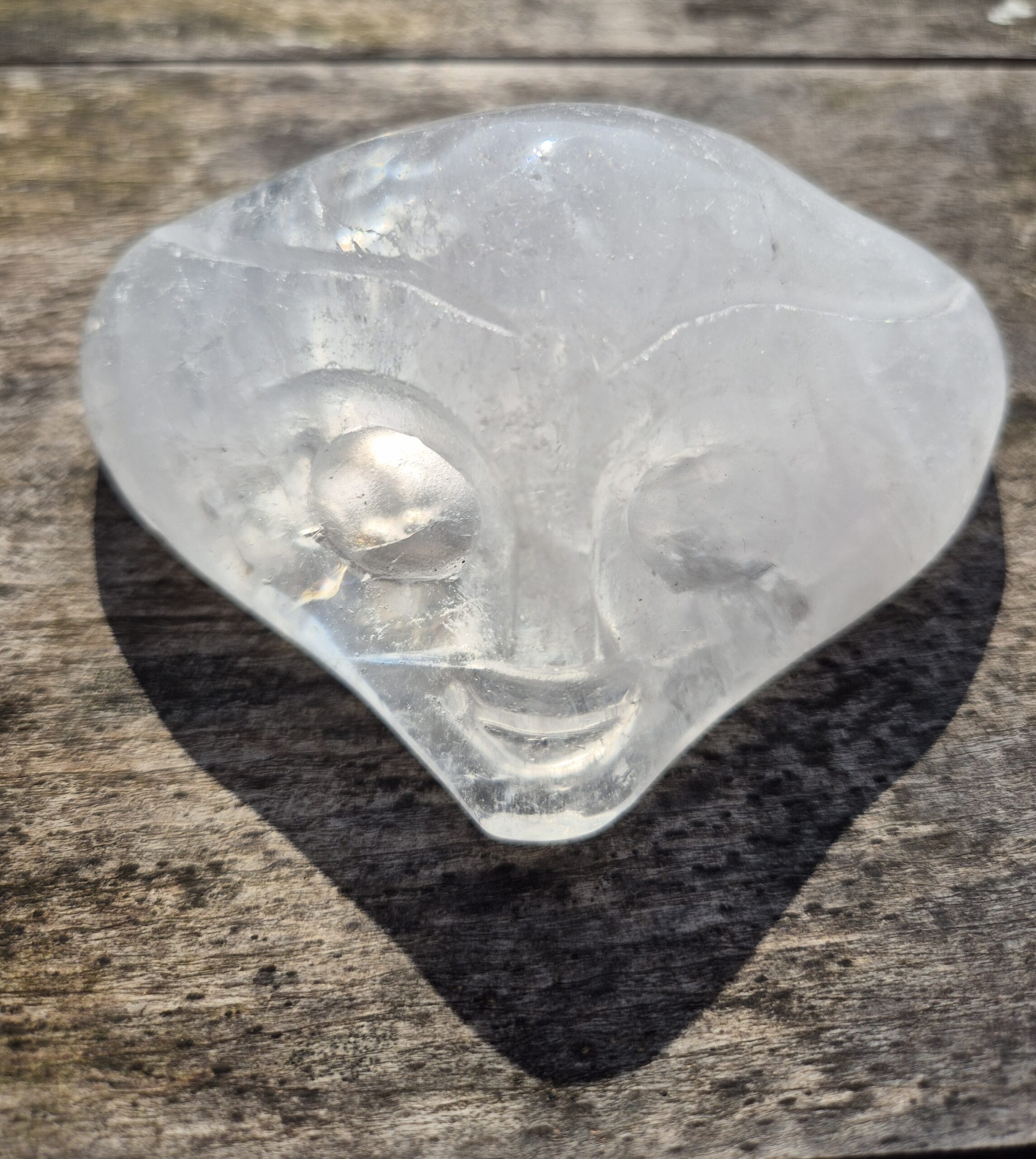 Jelly fish licht wezen skull 2 - Afbeelding 3