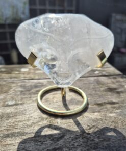 Alternative view of Jelly fish licht wezen skull 2