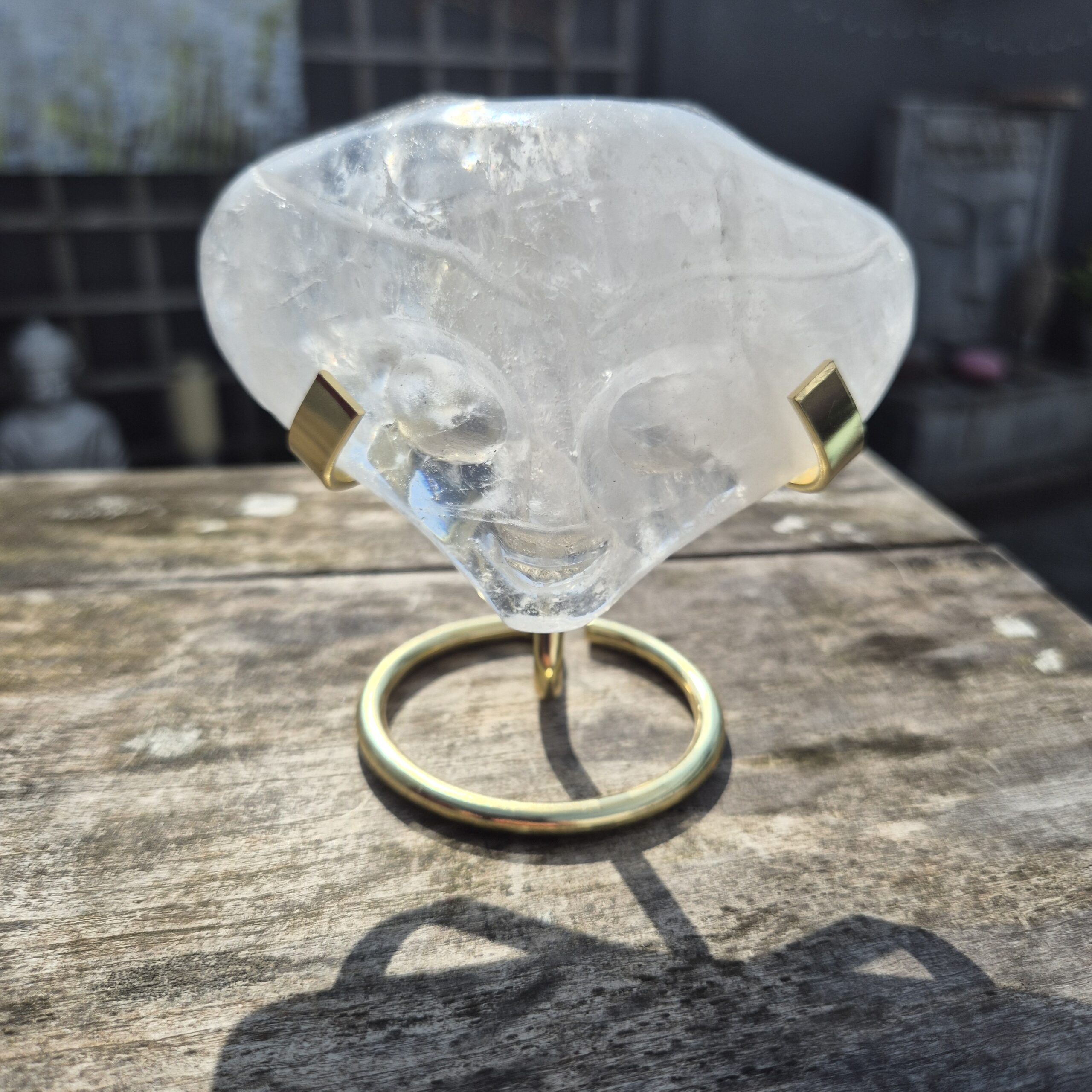 Jelly fish licht wezen skull 2 - Afbeelding 2