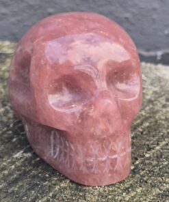 Braziliaanse Aardbeienkwarts Wilson skull