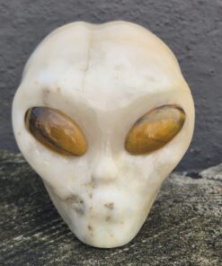 Calciet starbeïng skull