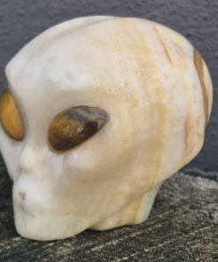 Alternative view of Calciet starbeïng skull