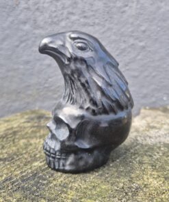 Zwarte obsidiaan skull met raaf