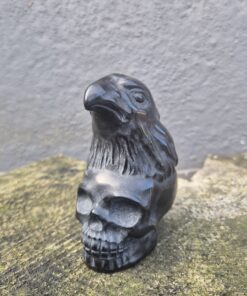 Alternative view of Zwarte obsidiaan skull met raaf