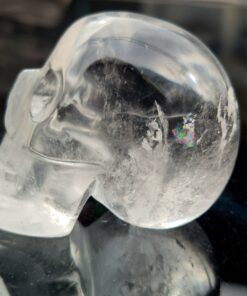 Braziliaanse lemuurkwarts skull 22
