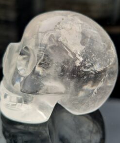 Braziliaanse lemuurkwarts skull 23