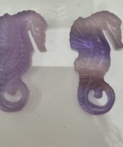 Alternative view of Fluoriet zeepaardje