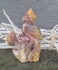 Papagaai van amazoniet 2