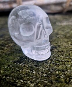 Braziliaanse lemuurkwarts skull F